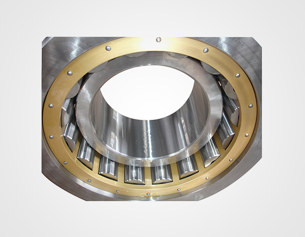 Double row Cylindrical Roller Bearings